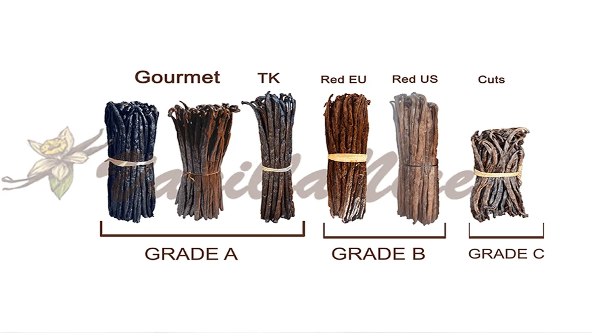 Madagascar vanilla bean grades comparison — Gourmet, TK, Red EU, Red US, and Cuts side by side