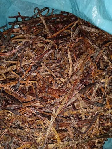Grade C Madagascar vanilla bean cuts — bulk kitsa fragments for industrial extract production