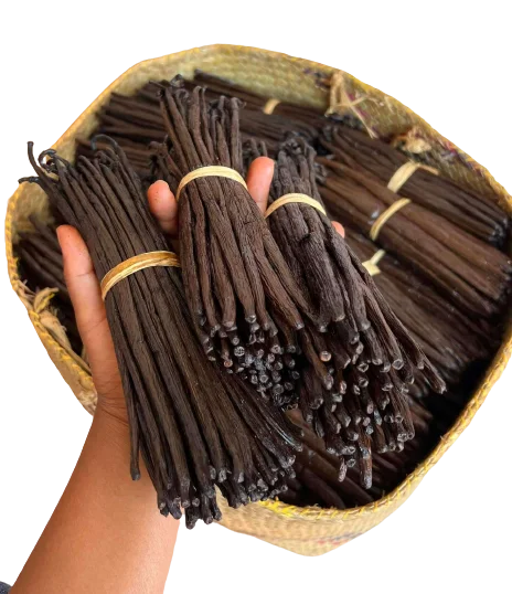 wholesale vanilla beans