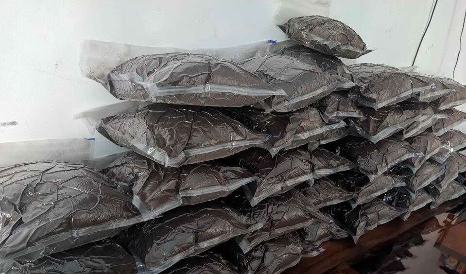 vanilla powder in bulk