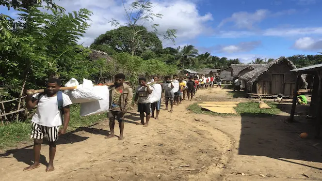 The Enchanting Journey of Madagascar Vanilla Farmers